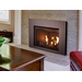 32" DRI2032 Direct Vent Gas Insert