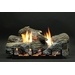White Mountain Hearth Stacked Wildwood  (LS24WRR) with Vent-Free Slope Glaze Burner System (VFSR-24)