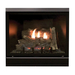 White Mountain Hearth Tahoe Clean-face Deluxe 32" Direct Vent Gas Fireplace - DVCD32FPxxx