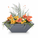 Maya Powder Coated Steel Square Planter and Water Bowl In Gray