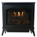 White Mountain Hearth Spirit 21" Direct Vent Steel Gas Stove
