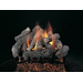 Bonfire Vented Gas Log Set