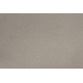 Champagne Powder Coat