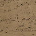 Rustic Coffee Finish