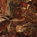 Amber Glass media