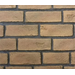Fortress Traditional Brick Refractory [ODFORTG36-IT]
