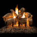 21 Inch Arizona Weathered Oak Vented Log Set