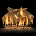 24 Inch Arizona Weathered Oak Vented Log Set