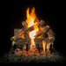 18 Inch Arizona Weathered Oak Vented Log Set