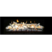 60 Inch Quaking Aspen Vented See-Through Log Set