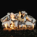 30 Inch Quaking Aspen Vented See-Through Log Set