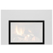 Safety Screen for Abbot Gas Fireplaces {ABBOT-DVISC}