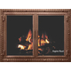 Aspire Rust Finish Denali Fireplace Door