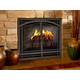 Madrid Direct Vent Screen in Classic Bronze