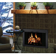 Reserve Masonry Fireplace Door - installed!