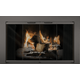 Reserve Fireplace Door