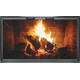 Special Z Zero Clearance Fireplace Door In Black