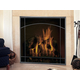 Sunrise Window Pane Design Direct Vent Screen