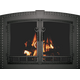 Denali Arched Masonry Fireplace Door in Textured Black