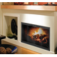Thin Line Zero Clearance Fireplace Door