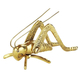 Polished Brass Hearth Cricket