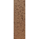 Capuccion Firebrick Stain