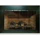 Grande Fireplace Door Installed