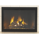 Satin Black Fireview Masonry Fireplace Door
