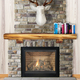Huntress ZC Fireplace Door