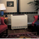 RH-50C 50,000 BTU Closed Front Vented Gas Heater