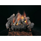 Bonfire Vented Gas Log Set
