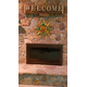 This happy customer loves the Bungalow masonry fireplace door! Copper vein finish, cabinet doors, bronze tinted glass.