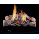 Evening Embers Single Burner Vent Free Gas Log Set