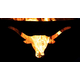 Longhorn design burning