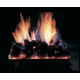 Rasmussen CS Burner