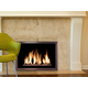 Slim Moderne Masonry Fireplace Door in Autumn Glow