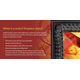 What Is A Sealed Fireplace Door