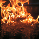 Fire On Water Flame Close Up