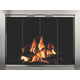 Avaleria Fireplace Door in Satin Nickel
