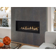 DRL4048 Linear Direct Vent Gas Fireplace