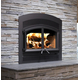 Waterloo Arched High-Efficiency Wood Fireplace with Urban Style Faceplate