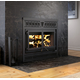 Waterloo High-Efficiency Wood Fireplace with Black Crown Style Faceplate