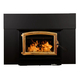 Buck Stove Model 74 Non-Catalytic Wood Insert Gold door