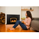 Buck Stove Model 74 Non-Catalytic Wood Burning Insert with Gold door Installed