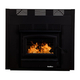 Buck Stove 21-ZC Wood Fireplace With Blower  And Black Door