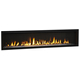 Majestic Echelon II 72" Direct Vent Gas Fireplace - ECHEL72IN-C