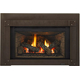 Majestic Trilliant 30" Direct Vent Gas Insert