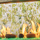 Outdoor Lifestyle Lanai 48" Outdoor Linear See-Through Gas Fireplace Glass Media