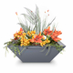 Maya Powder Coated Steel Square Planter and Water Bowl In Gray
