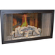 Nightwell Zero Clearance Fireplace Door in Matte Black